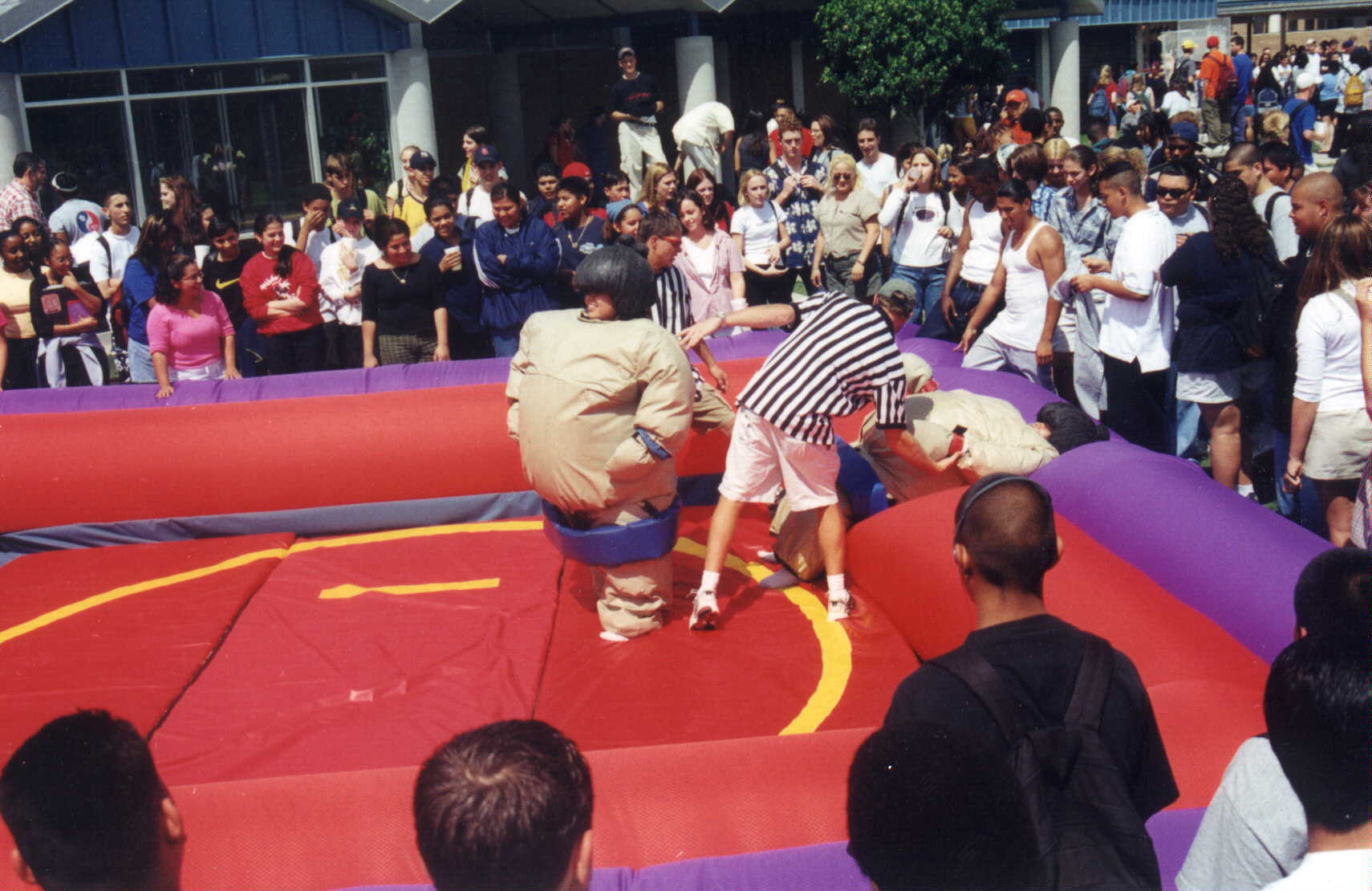 Picture_492.jpg