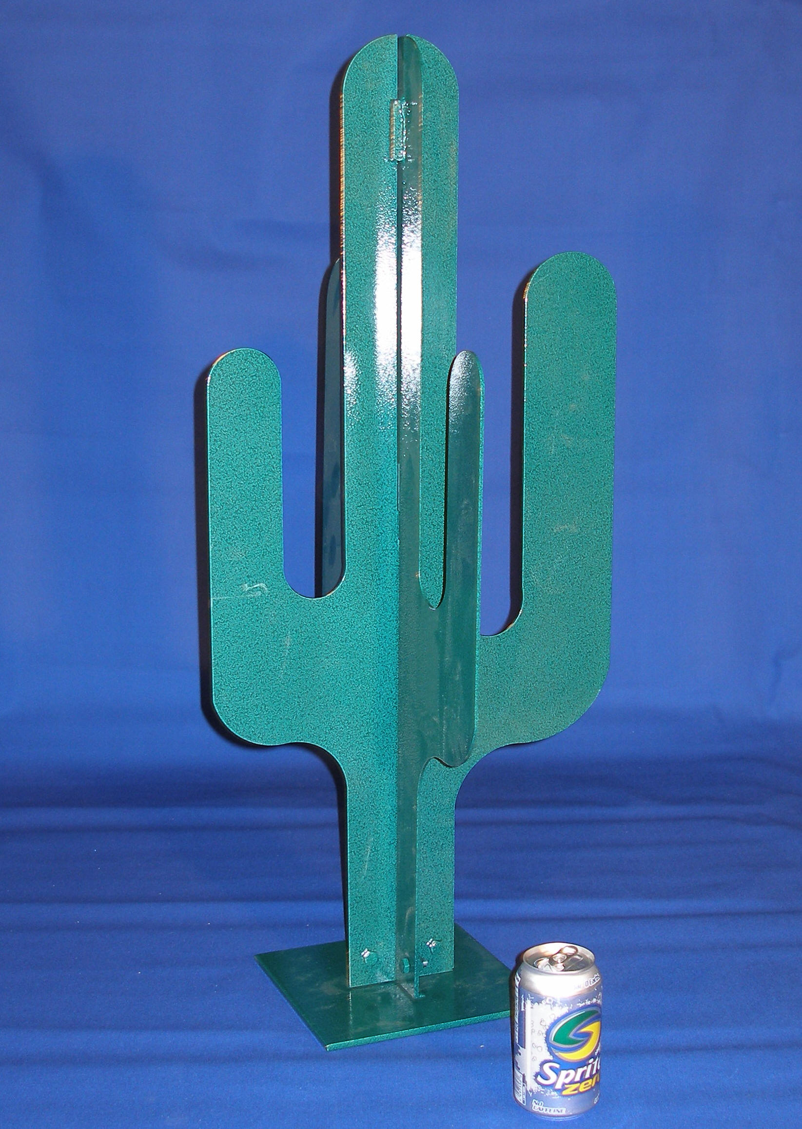 cactustoss.jpg